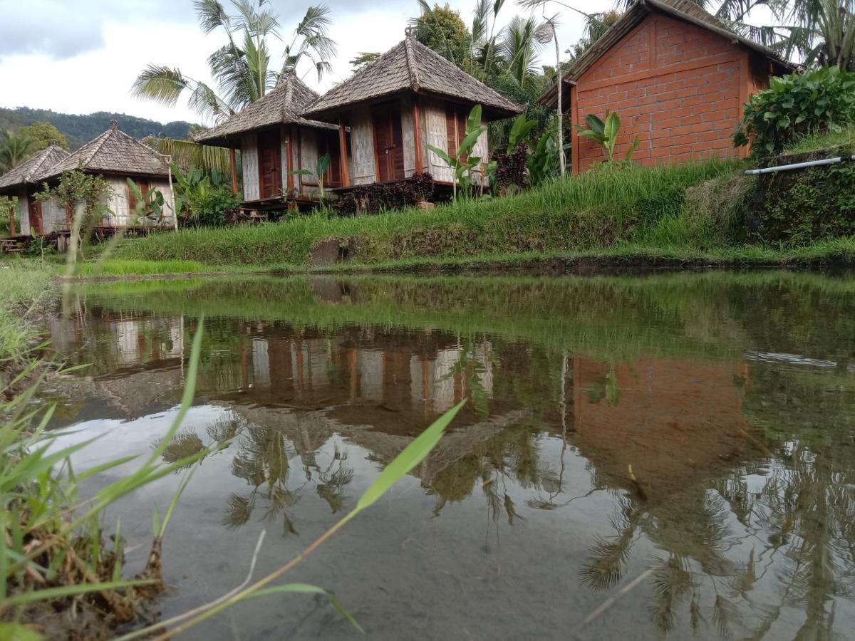 Puri Sunny Camp Villa Munduk Eksteriør bilde