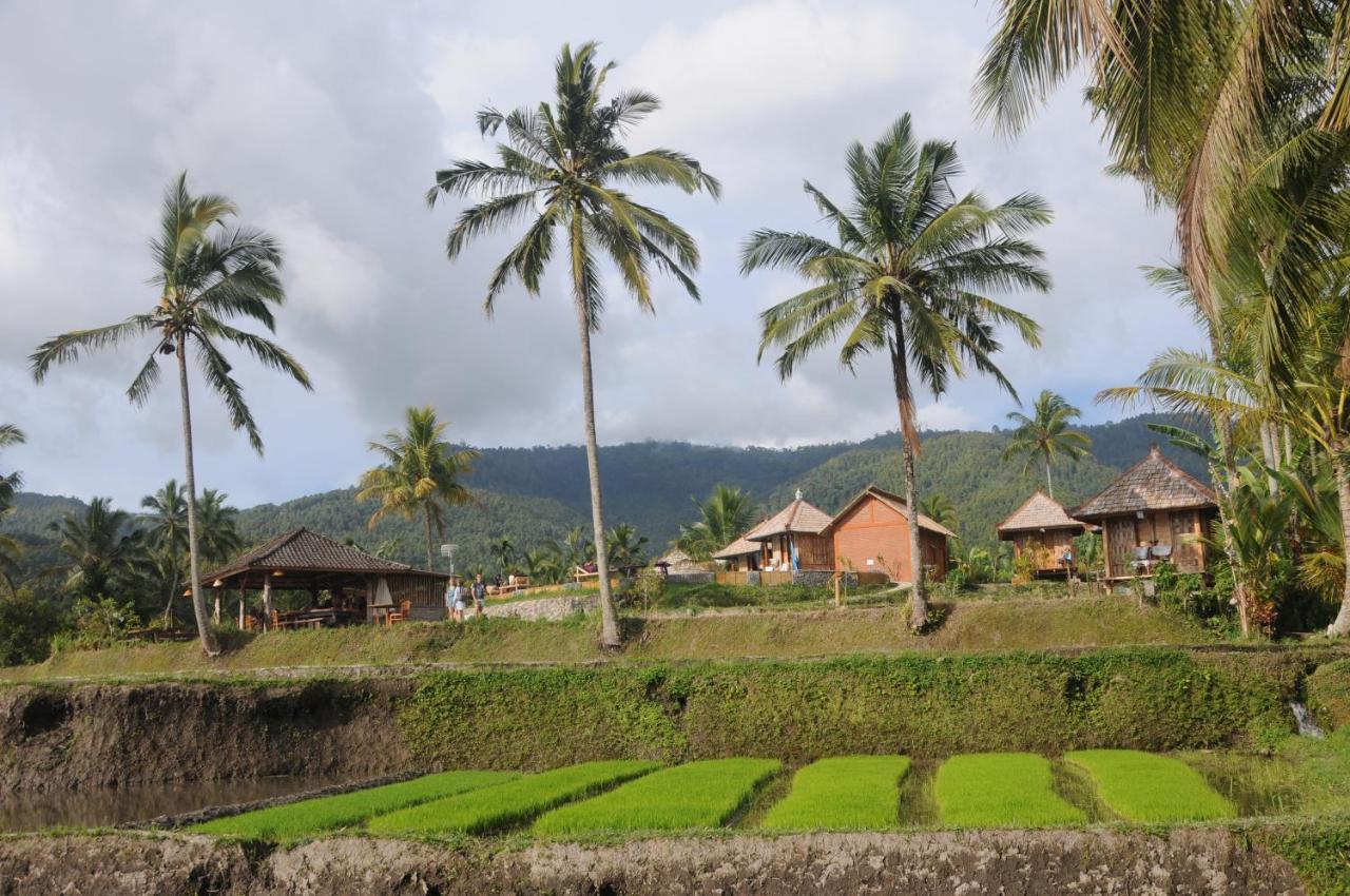 Puri Sunny Camp Villa Munduk Eksteriør bilde