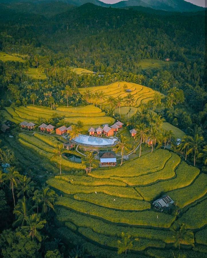 Puri Sunny Camp Villa Munduk Eksteriør bilde